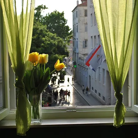 Optimist Split/city Center *
