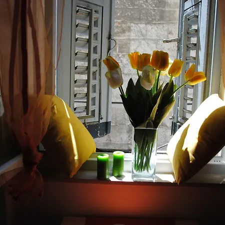 Optimist Split/city Center Apartament