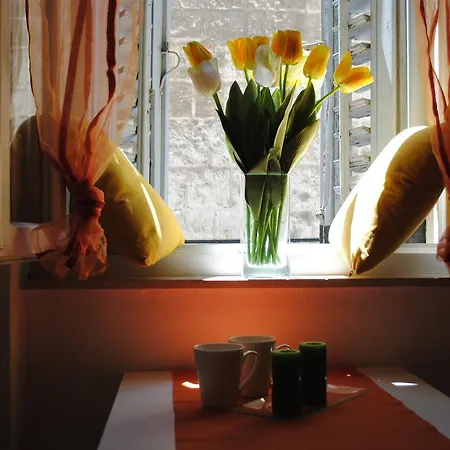 Optimist Split/city Center Appartement