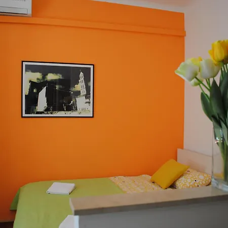 Optimist Split/city Center *