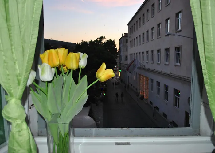 Optimist Split/city Center *