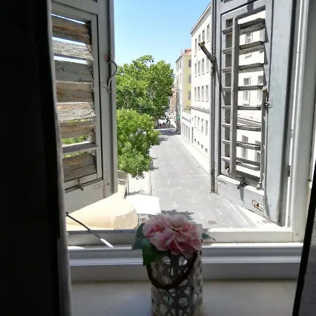 Optimist Split/city Center Appartement