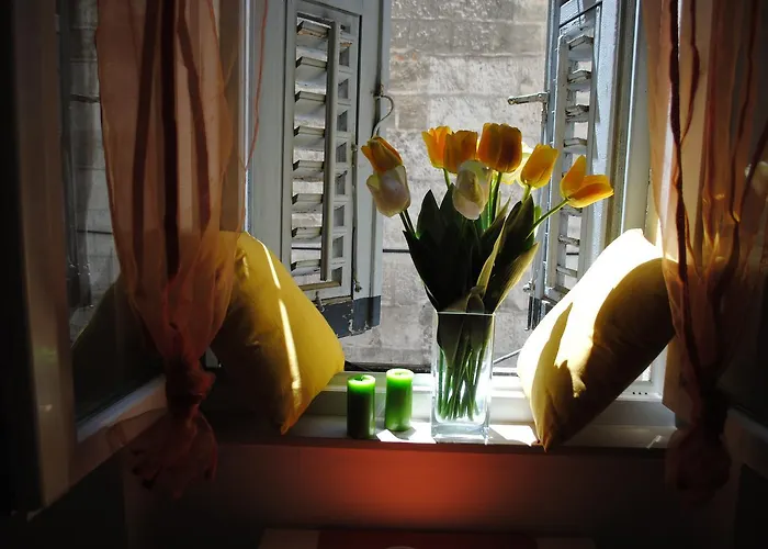 Optimist Split/city Center Appartement
